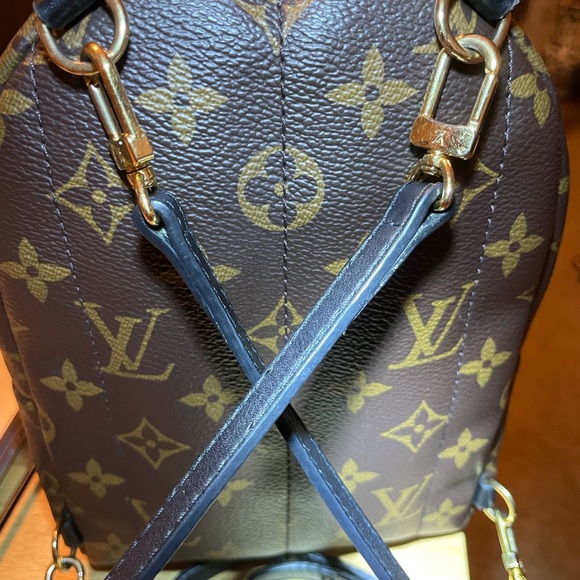 Louis Vuitton Palm Springs Mini